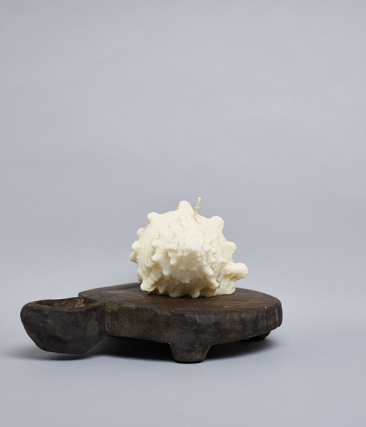 Shell Conch - Soy Sculptured Pillar Candle